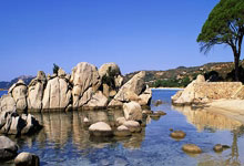 黑白直播- 过客郑愁予 