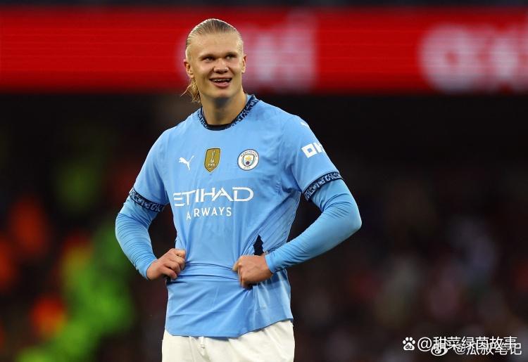 哈兰德28粒进球集锦 哈兰德28粒进球集锦